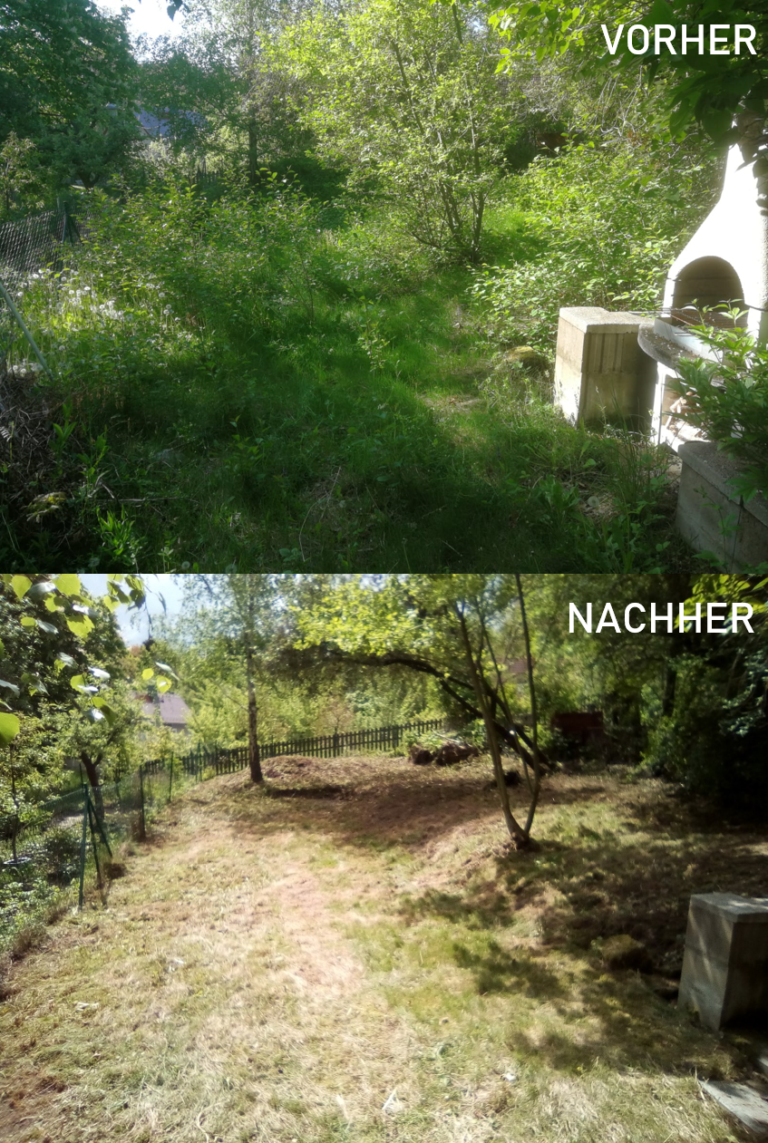 Beispiel Wildwuchsbeseitigung/Gartenpflege