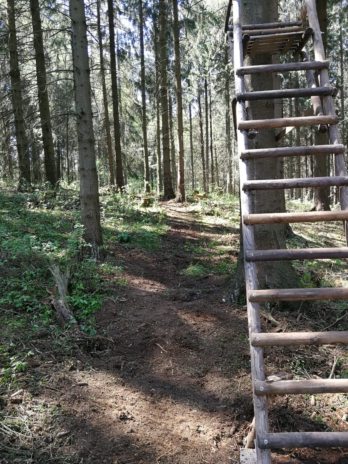Anlegen von Pirschwegen